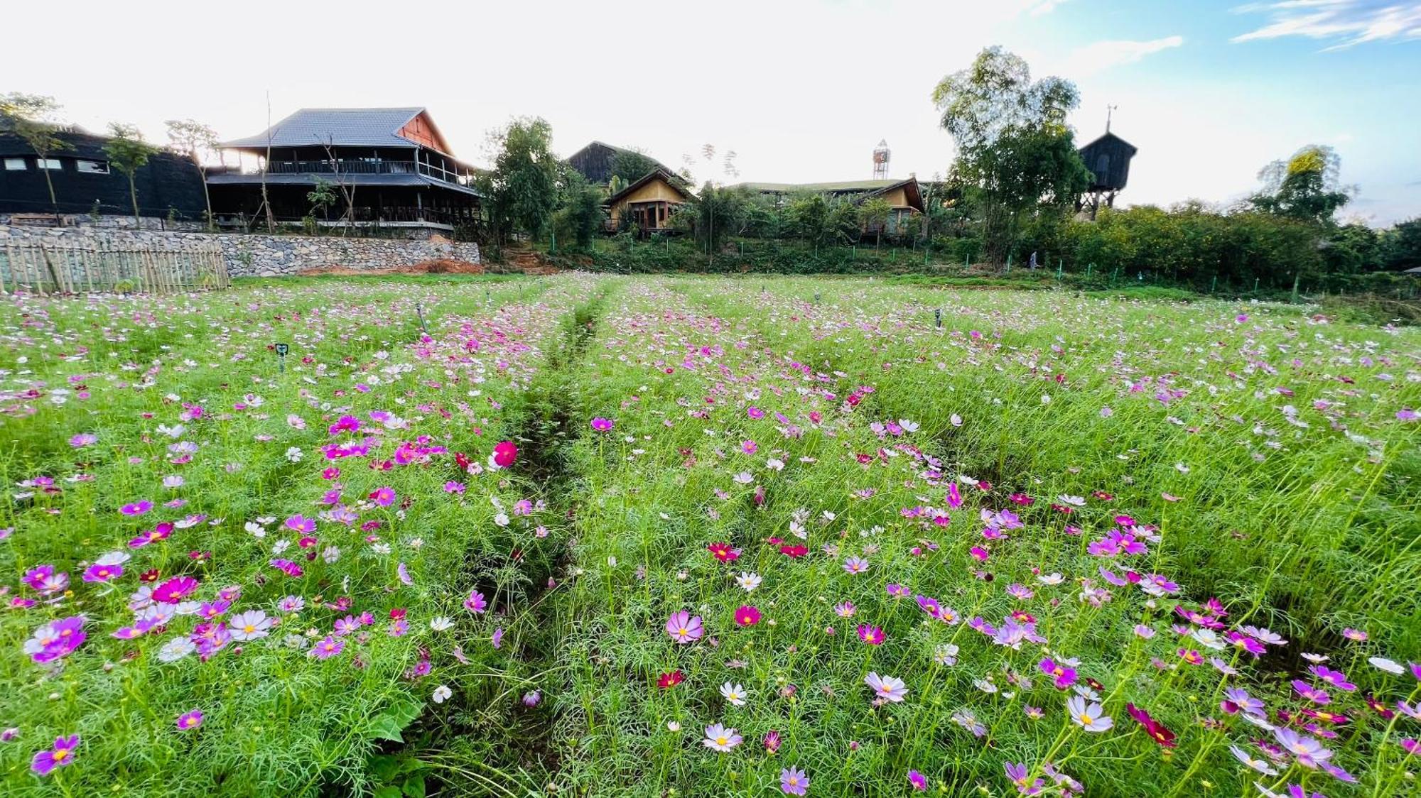 Satoyama Village Luong Son  Luaran gambar